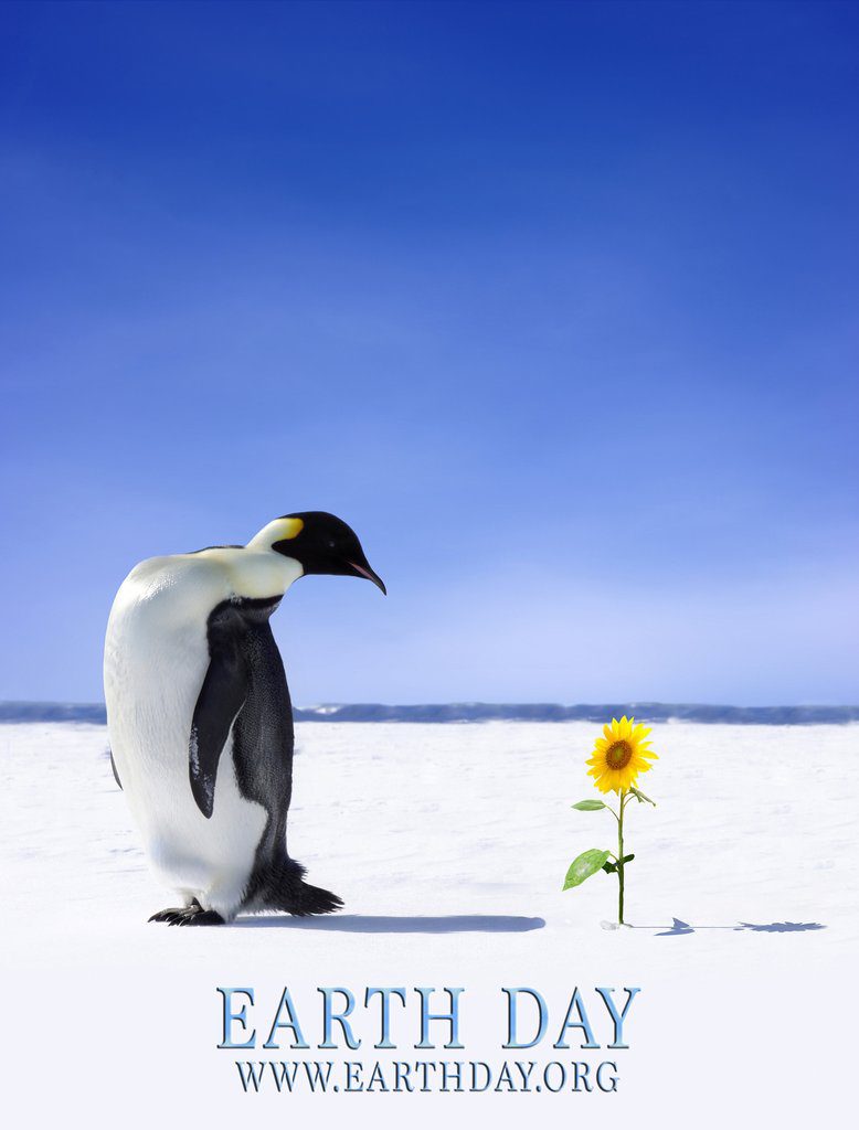 Image result for earth day 2018 + penguins