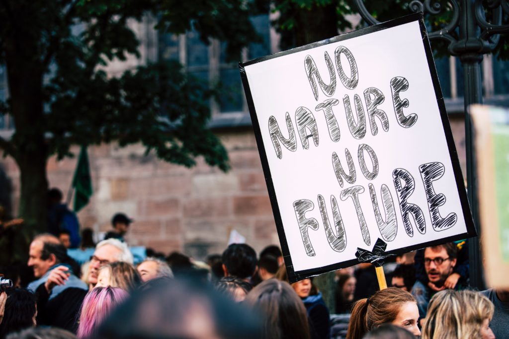 sign says "no nature no future" in a climate protest