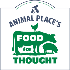 food for thought logo