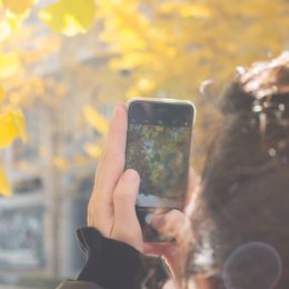 person holding phone