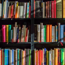 shelves of children's books