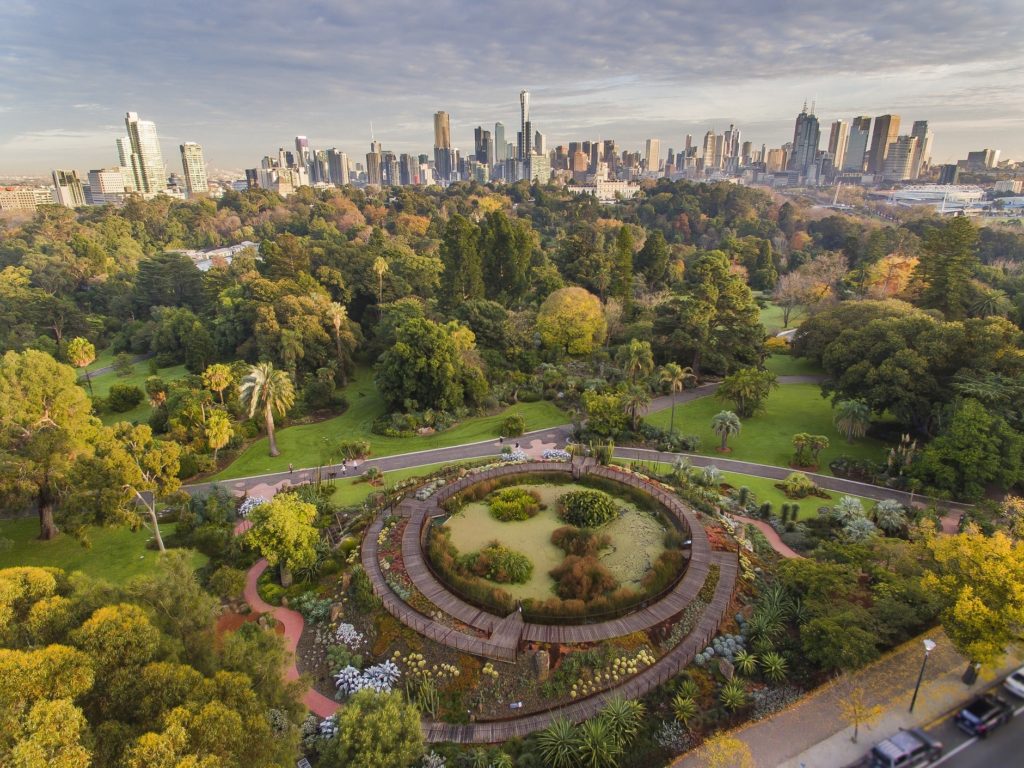 aerial view of garden and cityscape