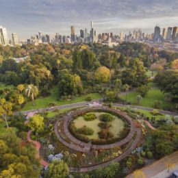 aerial view of garden and cityscape