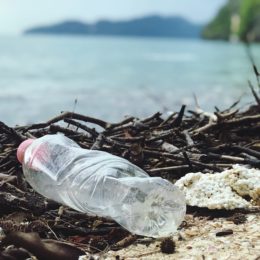 plastic water bottle on the beach