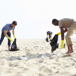 people picking up trash on a beach