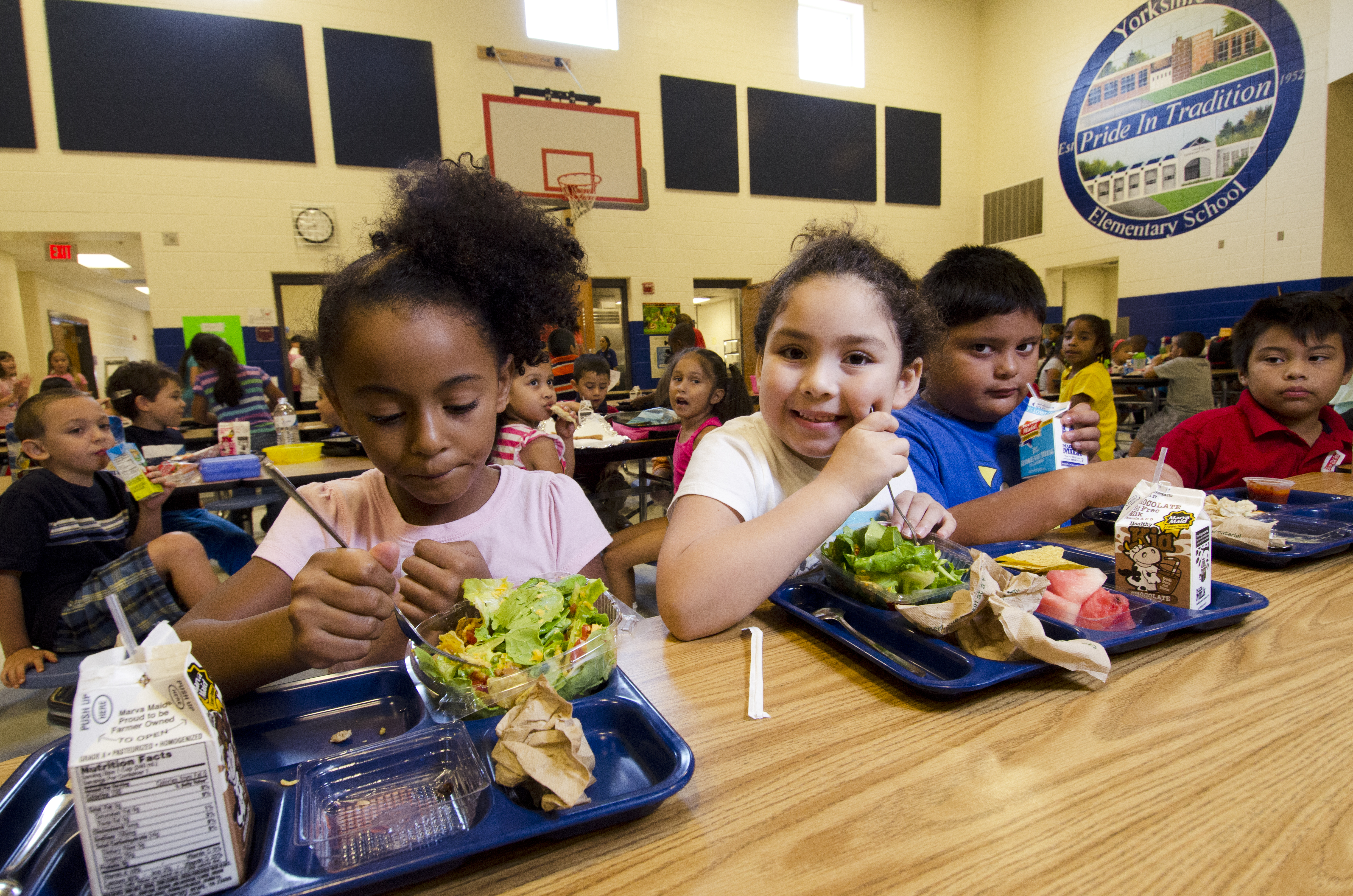students eating lunch