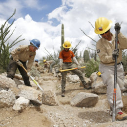 people working in desert