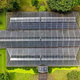 aerial view of solar panels