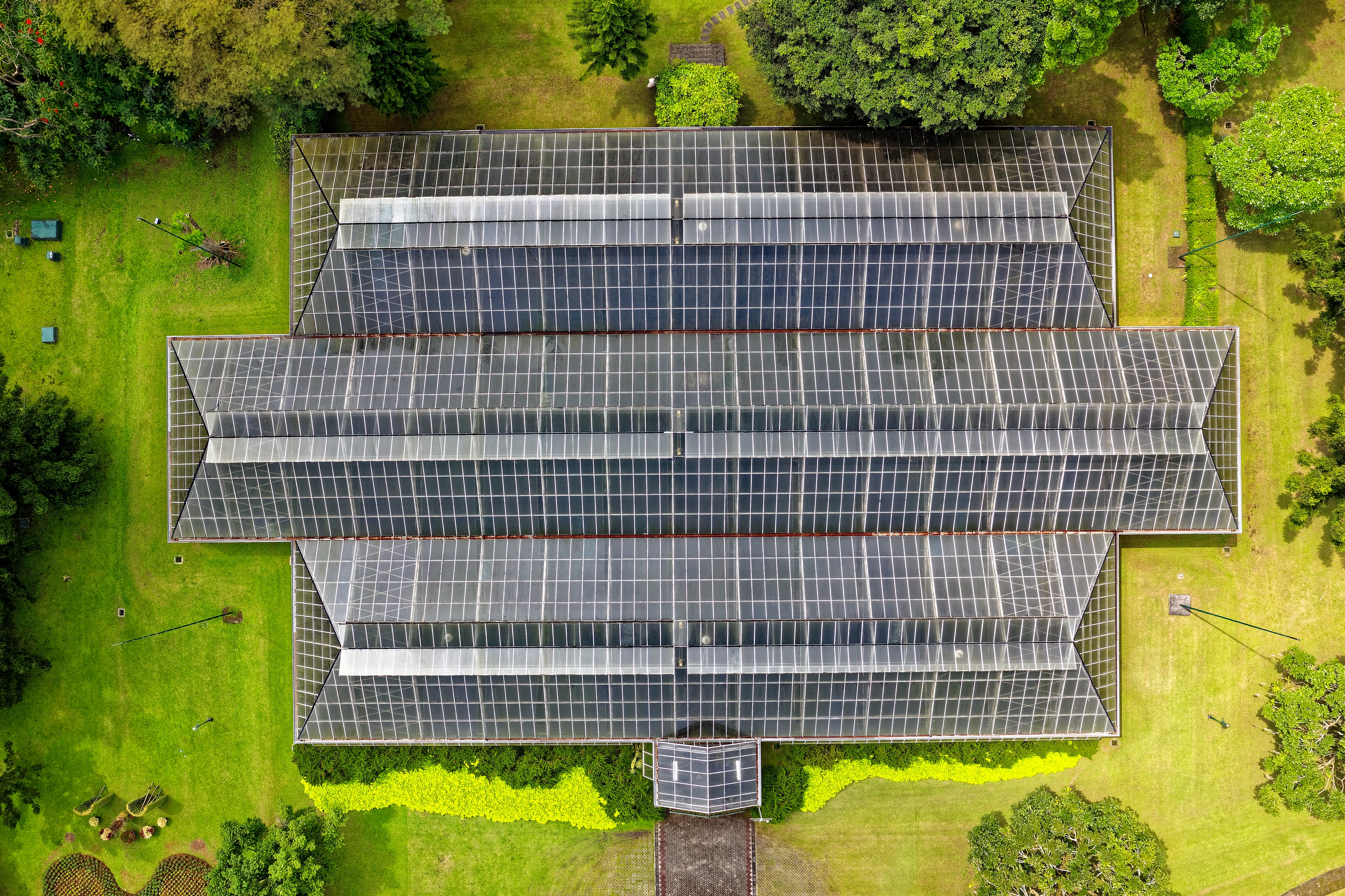 aerial view of solar panels