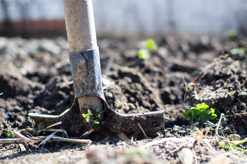 Shovel digging in fresh soil