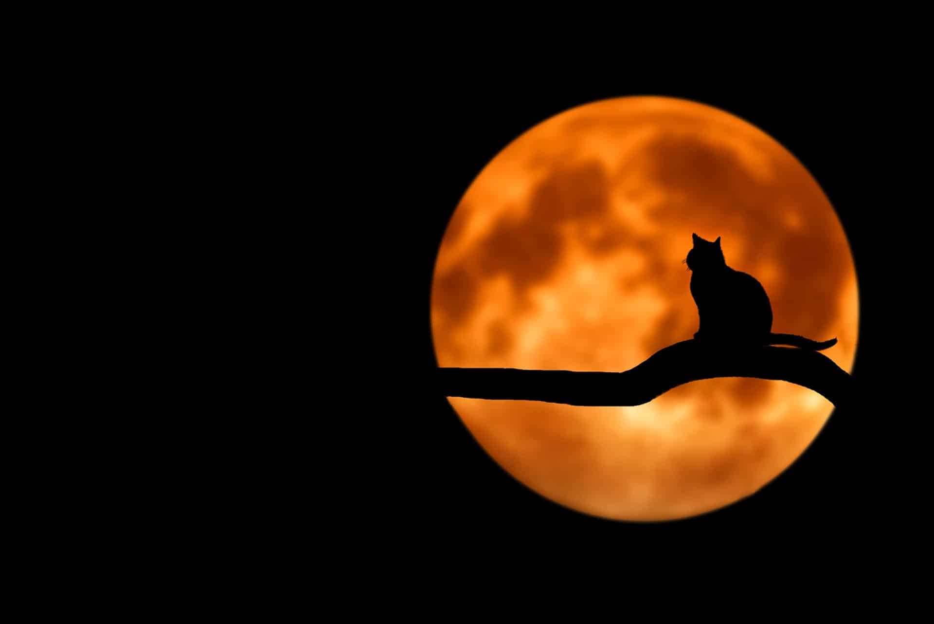 5 climate change facts to scare you into action this Halloween - Earth Day