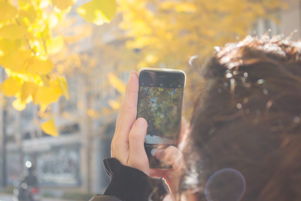 person holding phone