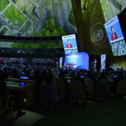 Greta Thunberg speaking at summit