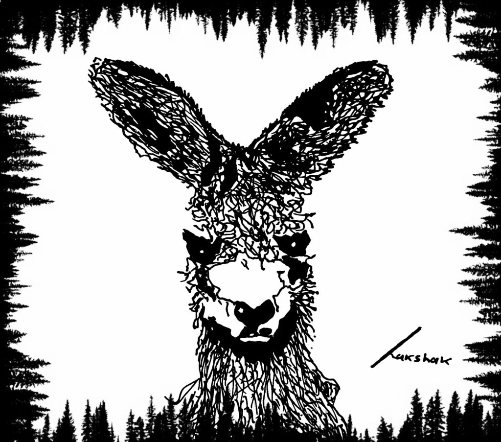 Art by Agath Rakshak