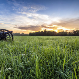 sunset over field in virginia