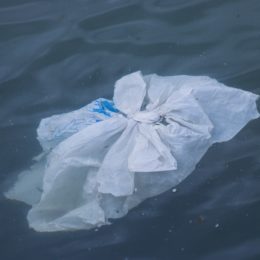 plastic bag in water