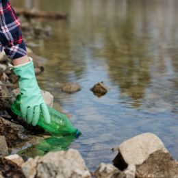 person picking up water bottle in creek