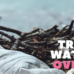 End Plastics & Single User Plastic Pollution – Earth Day Campaign