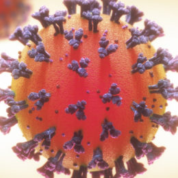 coronavirus rendering