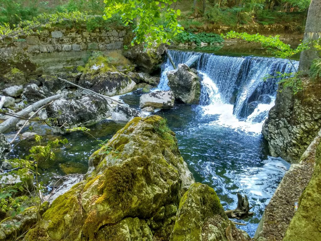 Art by Antony Johnson