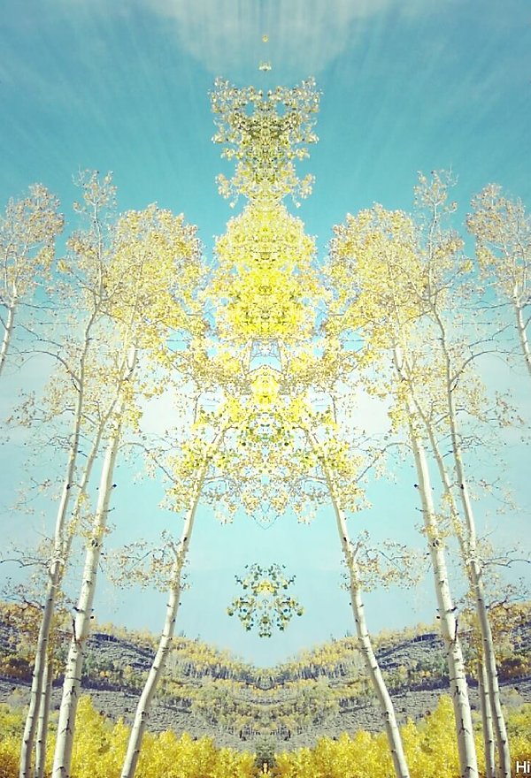 Art by Hillary Raimo