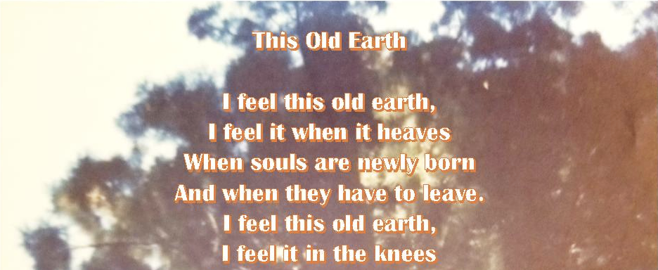 Art by Brenda Bunting