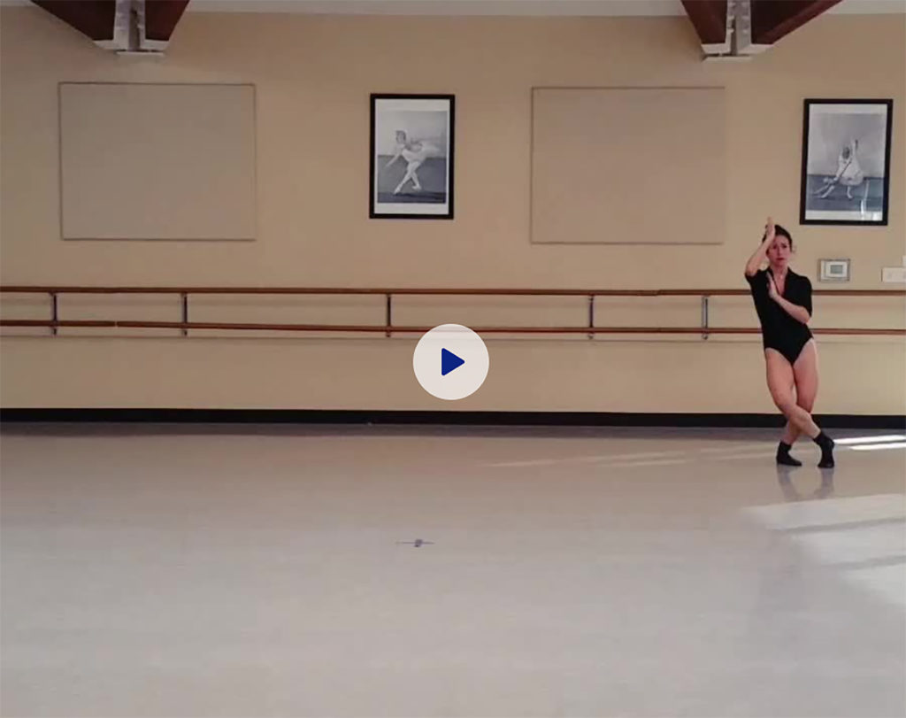 Art by Sara Templeton