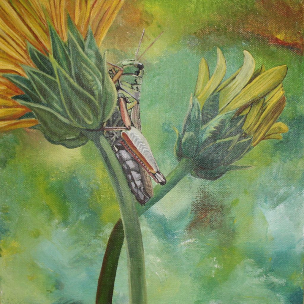 Art by Melissa Guillet