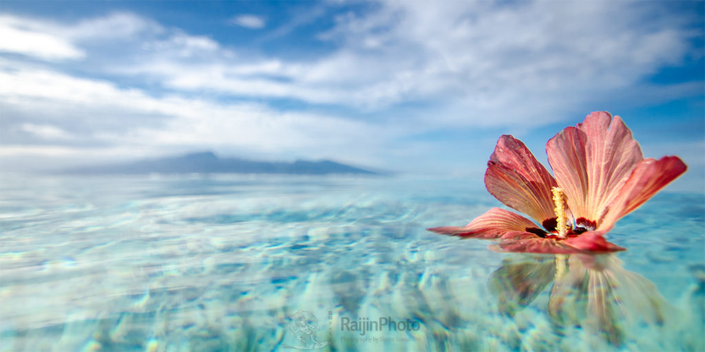 Art by Shane Baeuerlen