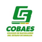 COBAES Logo