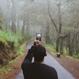 person holding phone