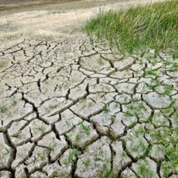 drought-ridden cracked land