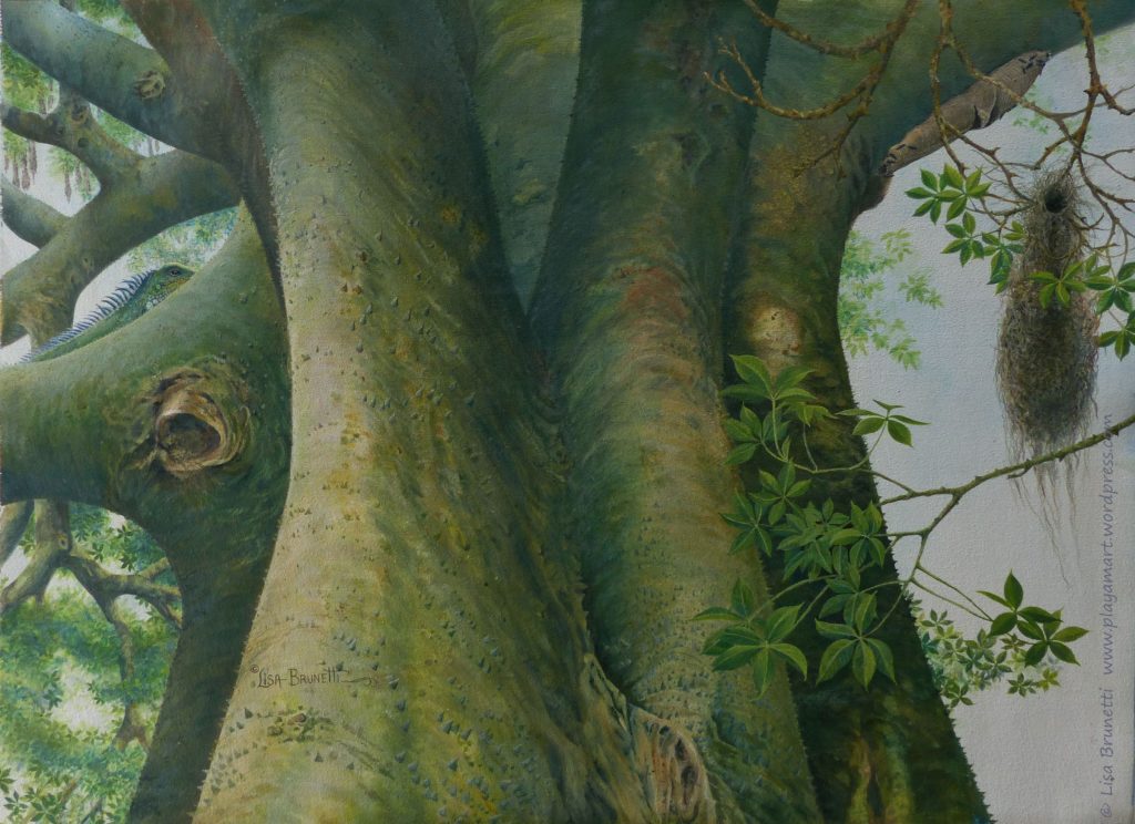 Art by Lisa Brunetti