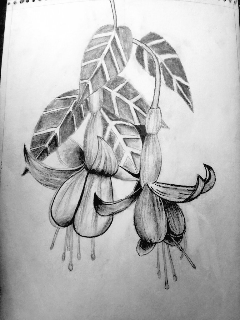 Art by Puranjay Sharma