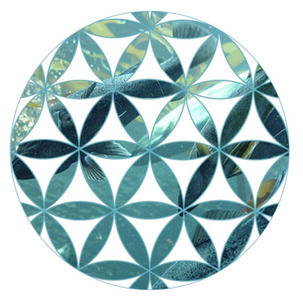 Art by Michiko Tanaka