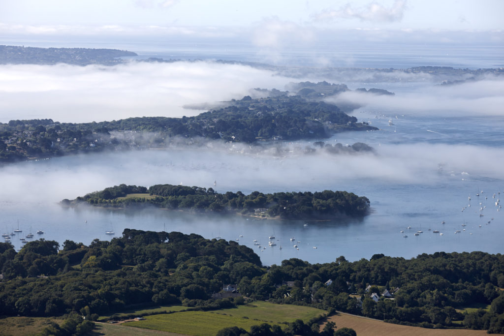 Art by Jacques Vapillon