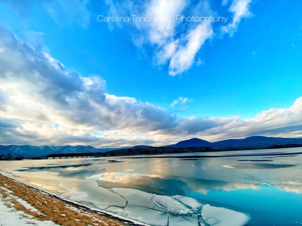 Art by Carolina Trinchinato