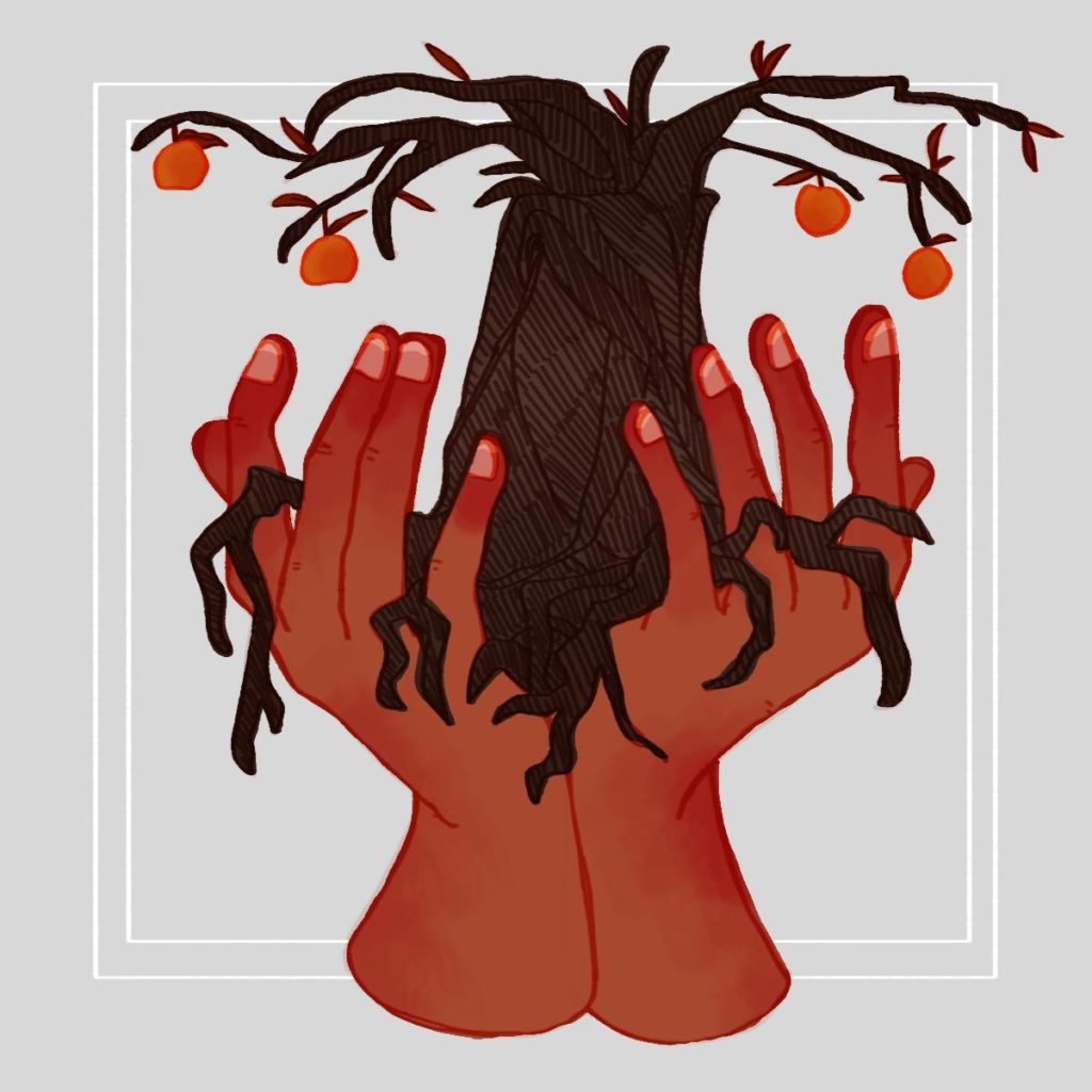 Art by Claire Mallela