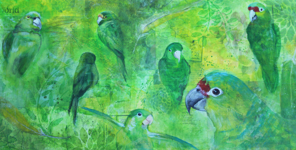 Art by Uma Viswanathan