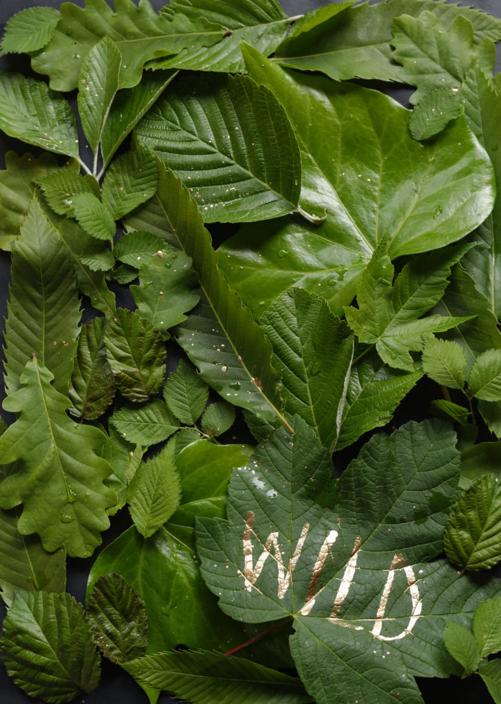 Art by Matteo Baracco