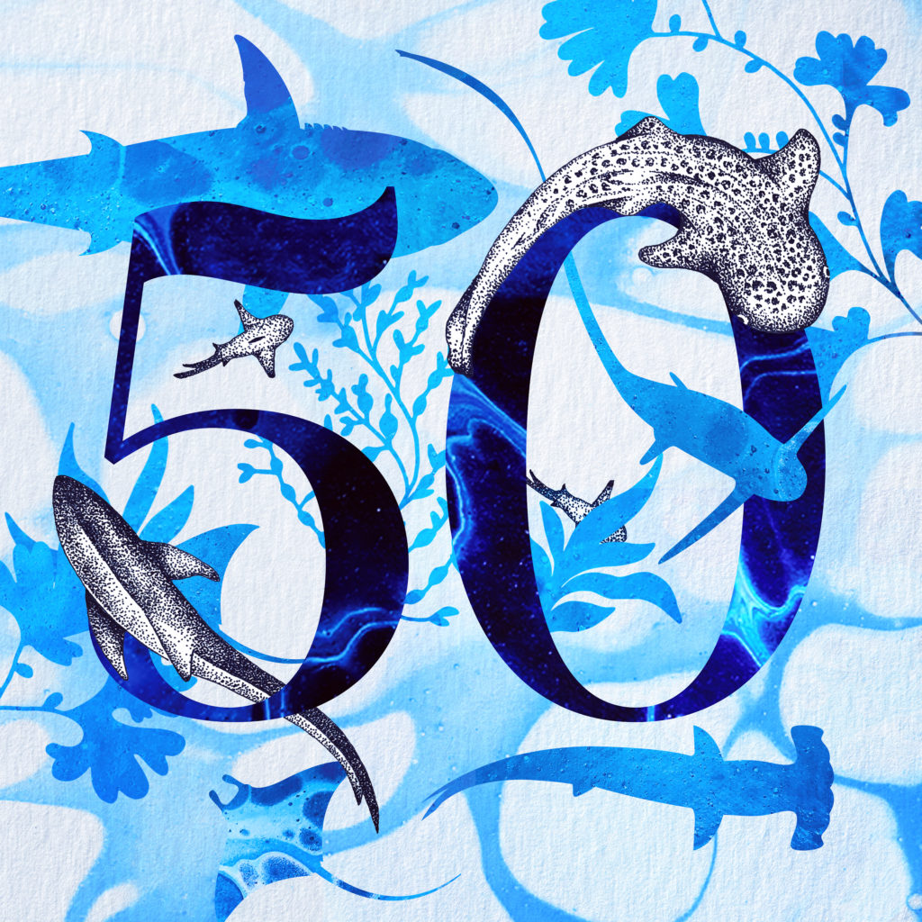 Art by Janina Rossiter