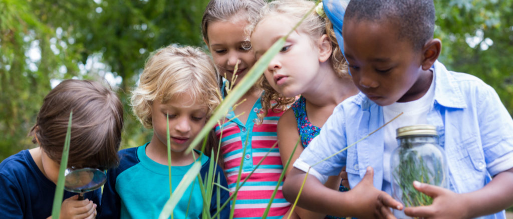 Children examining bees