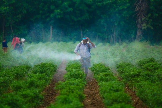 Man spraying pesticide