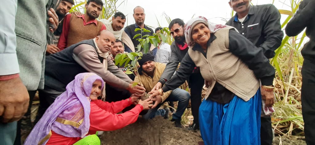 Group of people standing in a circle and holding onto a tree sapling in the center
