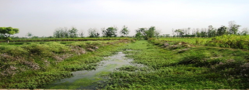 Landscape photo of Kali River in India