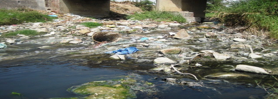 Trash floating in the Kali River in India
