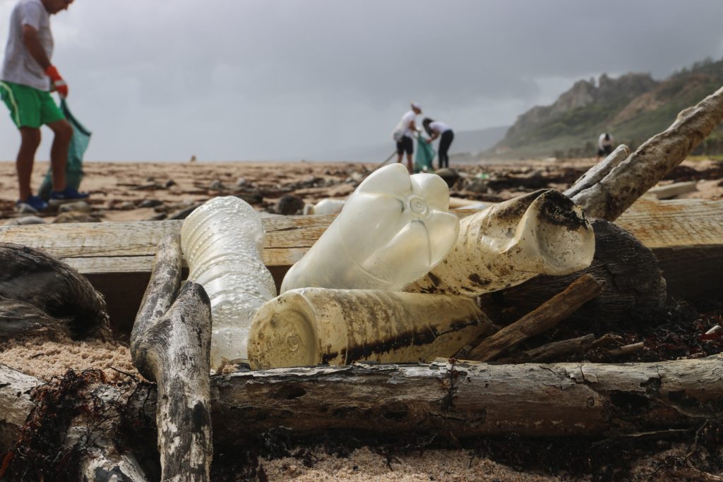 plastic bottles in wood on the beach and people cleaning up plastic in the background