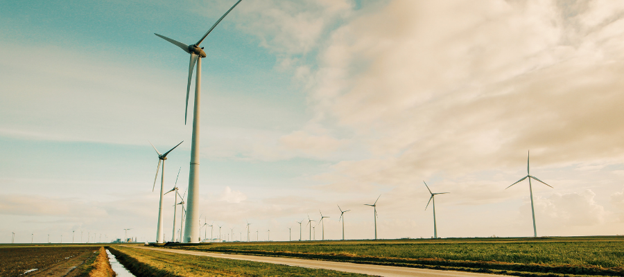 Wind Turbine Field