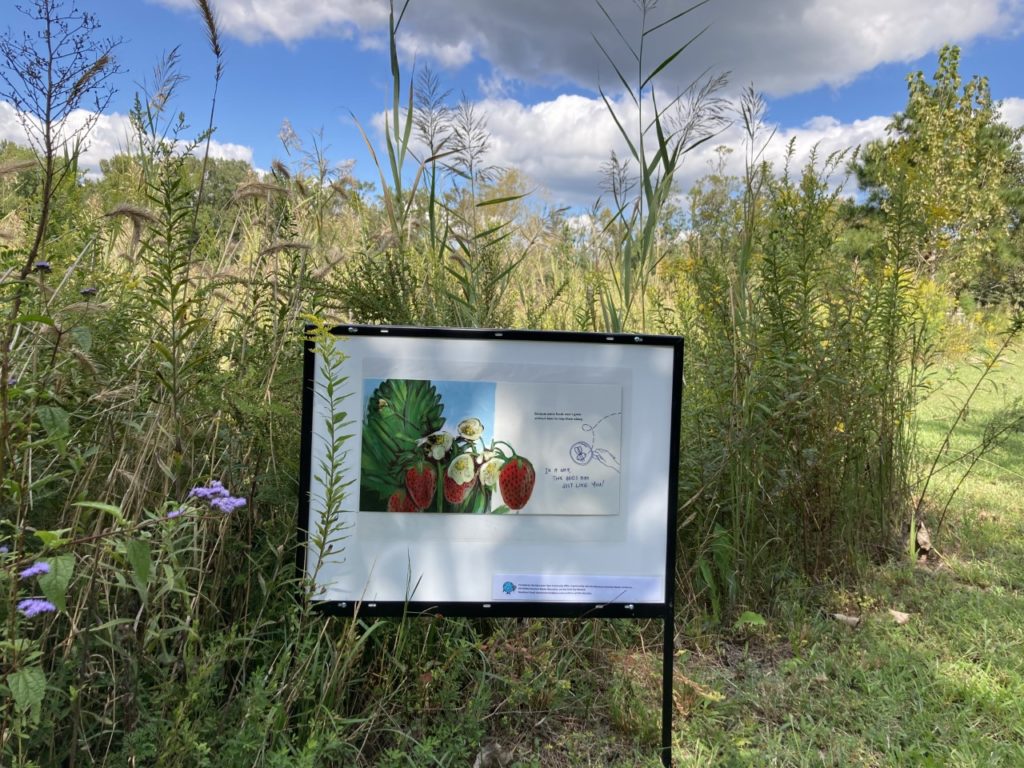 Painting of a bee pollinating a strawberry plant in front of grass