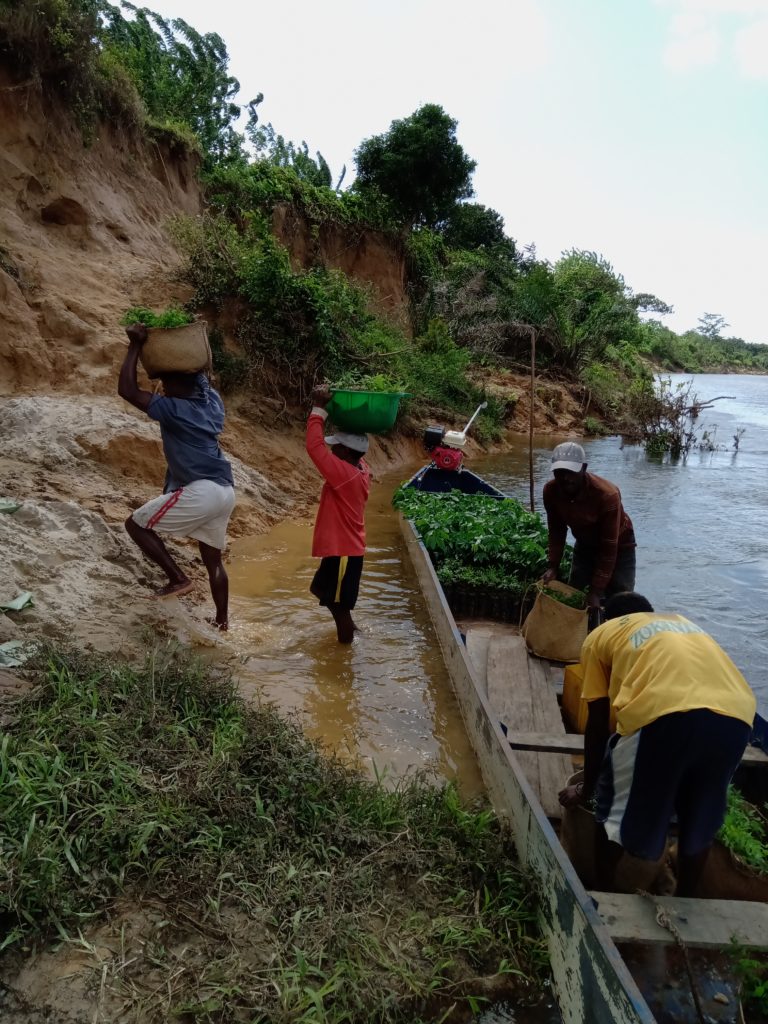 Four people stepping out of boat carrying trees to plant